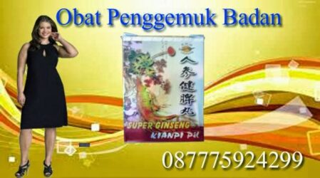 Obat Penggemuk Badan Kianpi Pil Cikarang